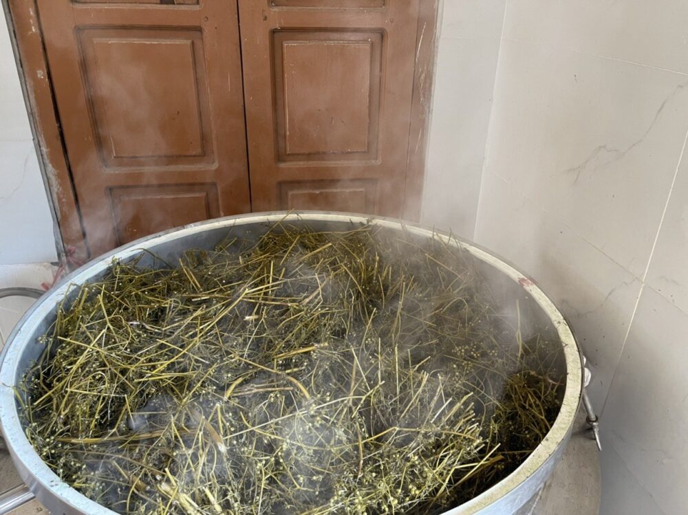 noi chung cat tinh dau agritech