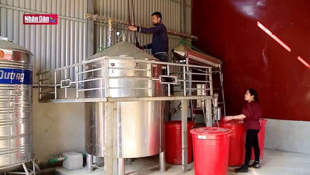 hệ thống chưng cất tinh dầu công nghiệp