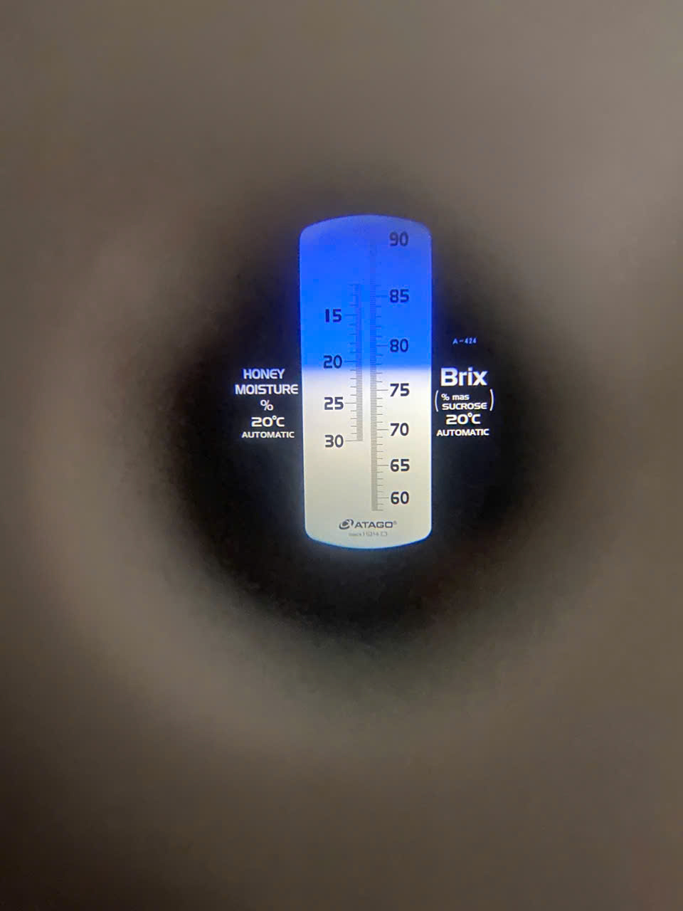 5e06dd8574b8fde6a4a926