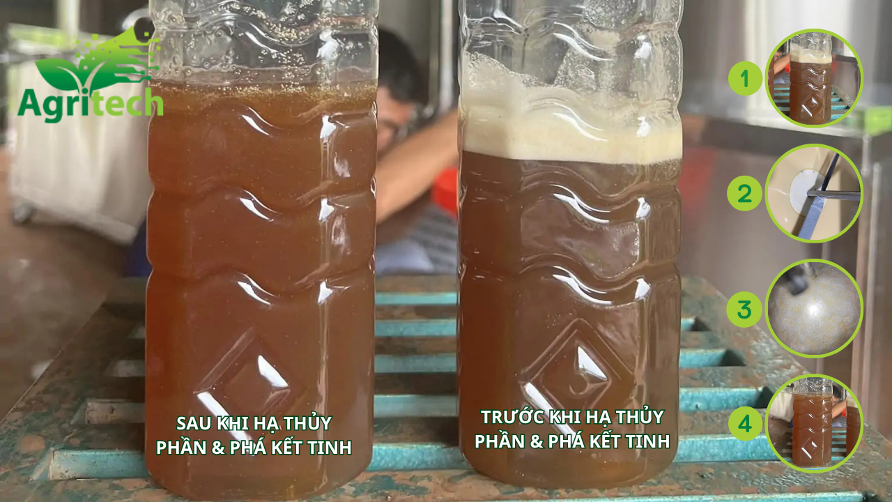 so sánh mật ong trước và sau khi hạ thủy phần
