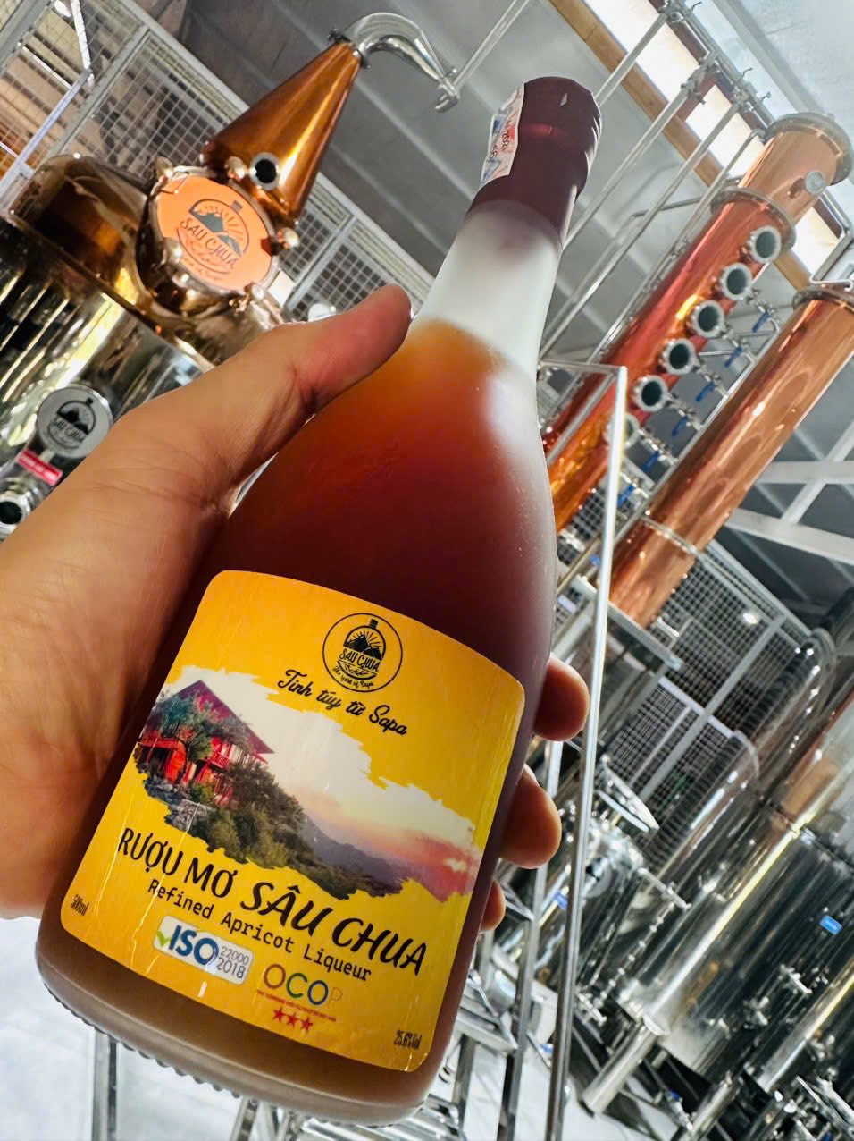 506053334_1415623872818613_2962449972568191502_n